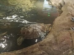 -绍兴梦享海洋公园