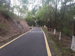 -分塔山省级森林公园
