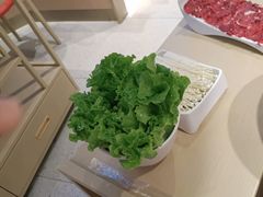 -潮正和潮汕牛肉火锅·老字号(番禺万达店)