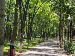 -云岗森林公园