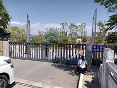 -五甲塘生态湿地公园