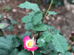 -人民公园(罗湖区)