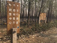 -蓝地时尚庄园(北京清河营地铁站店)