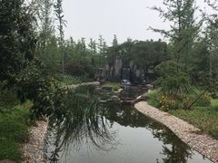 -林栖谷森林康养度假区