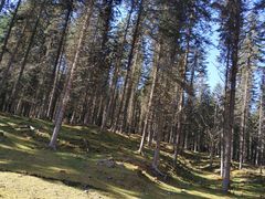 -硗碛藏寨·神木垒景区