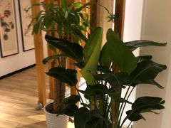 -麦子MaiMassage(打浦桥店)