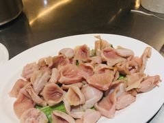 深海鱼肚-胡须佬鸡煲四季火锅店(石厦西村直营店)