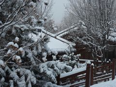 -少华山国家森林公园