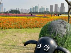 -映月湖中央公园