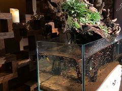 -域SPA·足疗·按摩·养生(静安寺店)