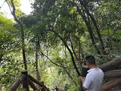 -綦江古剑山