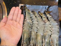 -熊出没日本烧肉放题
