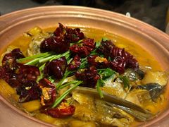 -柿合缘新京菜(国金中心商场店)