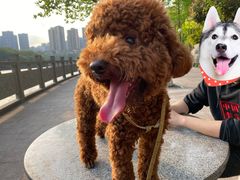 -重庆彩云湖湿地公园