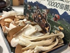 -芸山季·云南野生菌火锅(南翔印象城MEGA店)