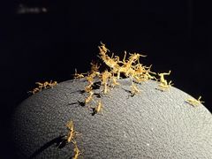 -深圳珠宝博物馆