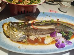 -33号大院·青岛本帮菜(五四广场店)