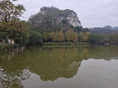 -星湖旅游景区七星岩