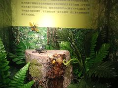 -湖南省地质博物馆