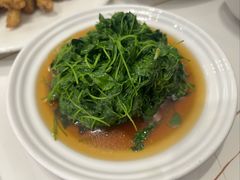 -海金滋(陕西南路店)