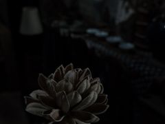 -老屋咖啡