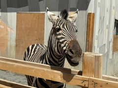 -水上乐园·欢乐世界