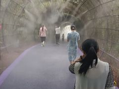 -大塘金香草谷