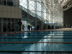 -广西体育中心-游泳馆