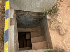 -黄埔油麻山森林公园
