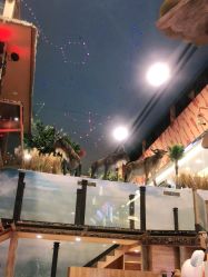 -卡通尼·Safari非洲探索乐园·生日会(金桥国际商业广场店)