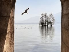-大理洱海