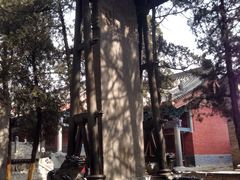 -少林寺景区