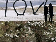 -巧克力渔家.小船海鲜家常菜(万平口店)