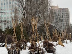 -北海道厅旧本厅舍(旧本庁舎)