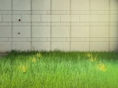 -404干式熟成牛排馆•聚会餐厅