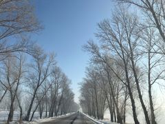 -滨州铁路桥
