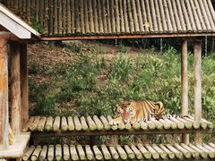-扬州市茱萸湾风景区