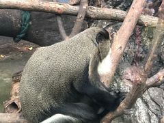 -无锡动物园·太湖欢乐园