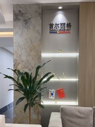 -上海首尔丽格医疗美容医院