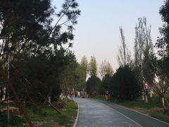 -回龙观体育文化公园