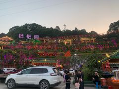 -枇杷园食为鲜火锅(南山店)