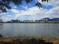 -飞来湖湿地公园