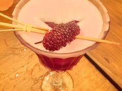 -Sirena海妖日咖夜酒