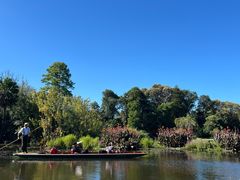 -墨尔本皇家植物园