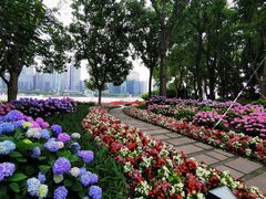 -北外滩滨江绿地