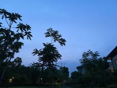 -太湖饭店玉兰厅(自助餐厅)