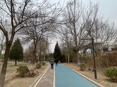 -太阳宫公园