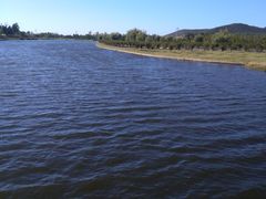 -羊亭河湿地公园