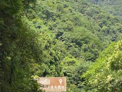 -娄山关景区
