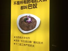 -巴奴毛肚火锅(广益哥伦布店)